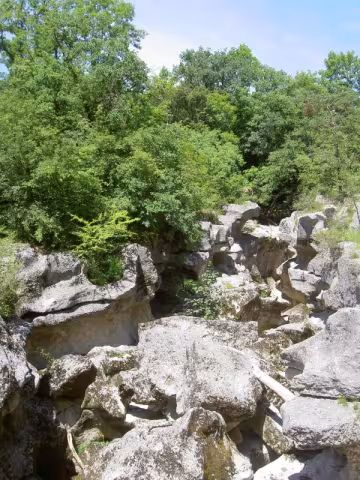 The Mer des Rochers: a jumble of limestone blocks beneath the trees.